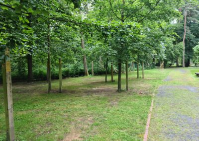 Waldfriedhof