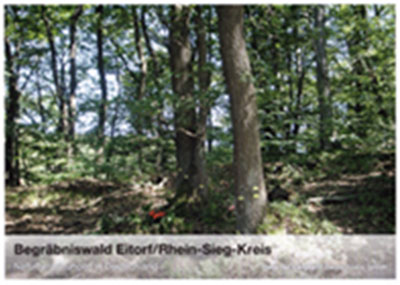 Bestattungen-Kroeger-Flyer-Oase